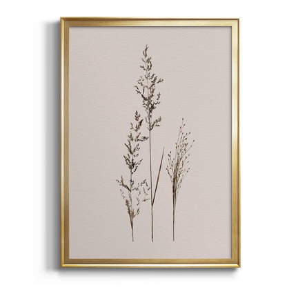 Delicate Stems I - Modern Framed Canvas Print