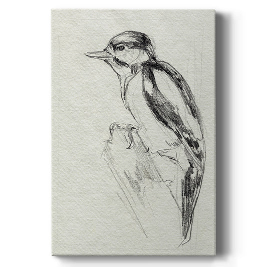 Woodpecker Sketch I Premium Gallery Wrapped Canvas - Ready to Hang