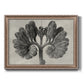 Blossfeldt Botanical VIII Premium Framed Canvas- Ready to Hang