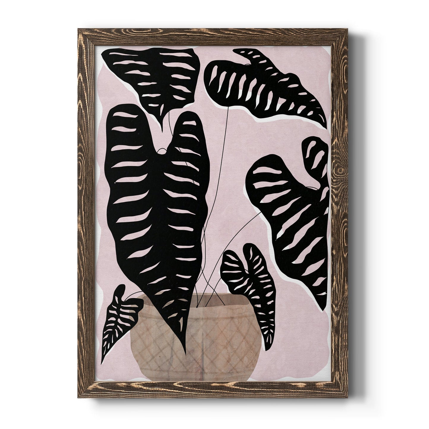 Potted Plant II - Barnwood Framed Canvas Print