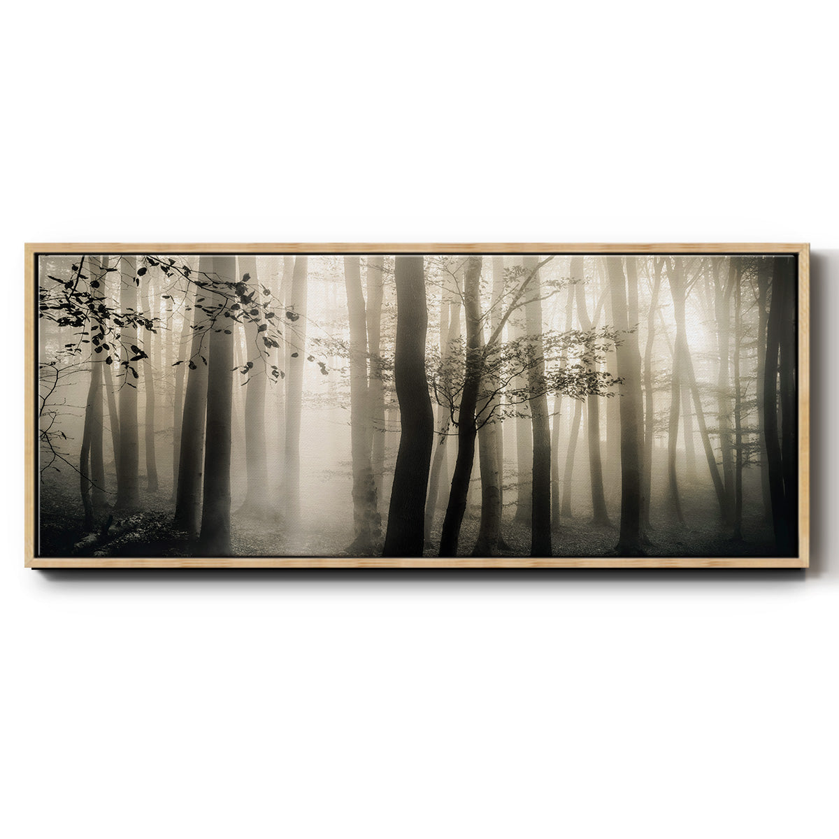 Light is Always There - Floater Framed Canvas Print