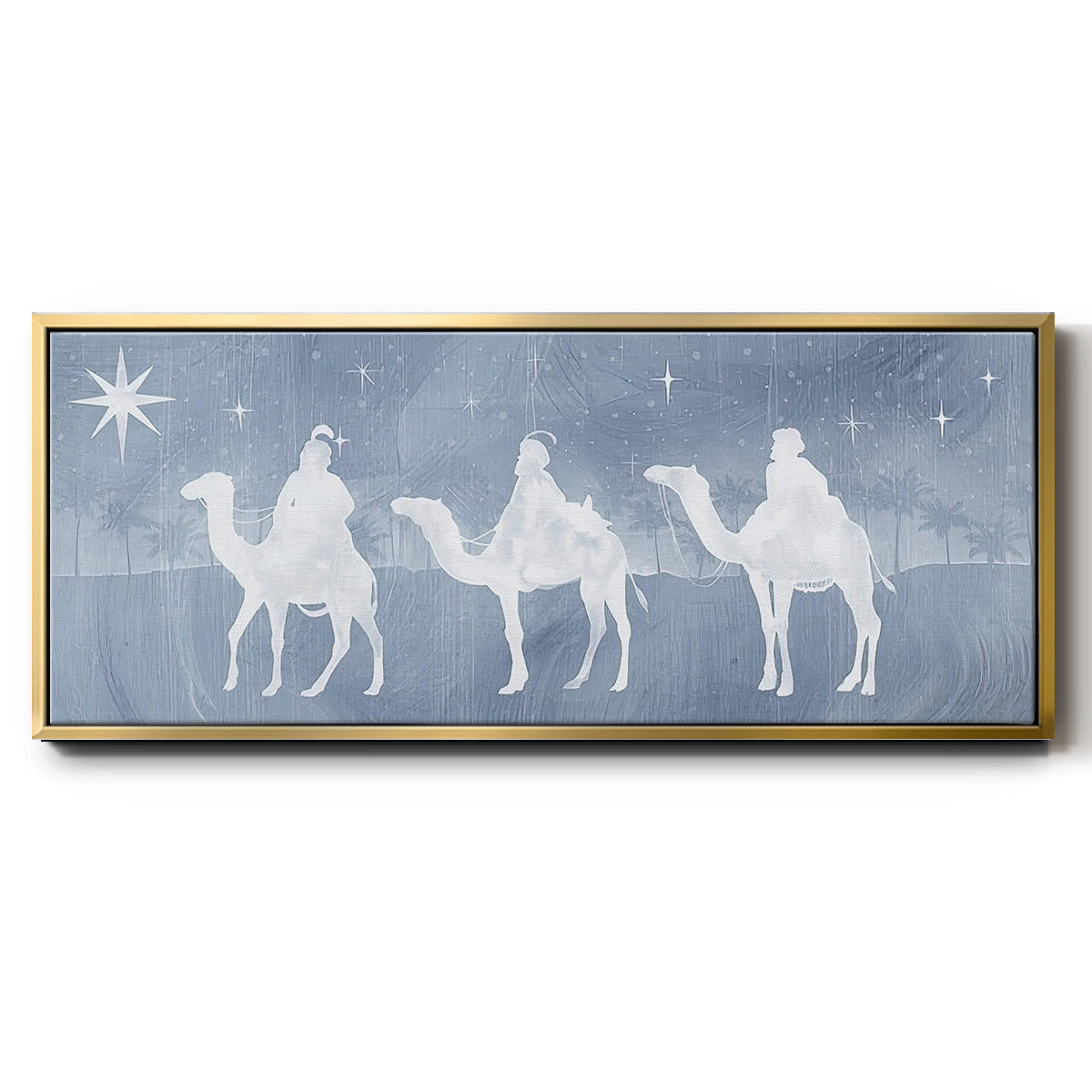 Star of Bethlehem Collection D - Floater Framed Canvas Print