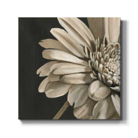 Classical Blooms IV - Canvas Art Print