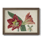 Amaryllis Splendor I Premium Framed Canvas- Ready to Hang