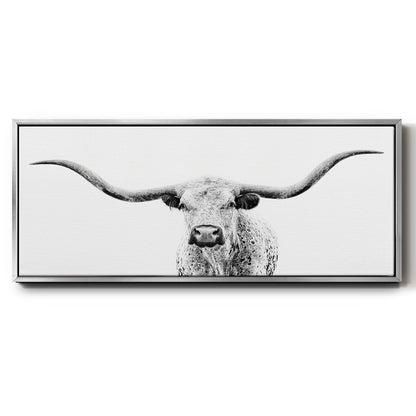 Longhorn Gaze - Floater Framed Canvas Print