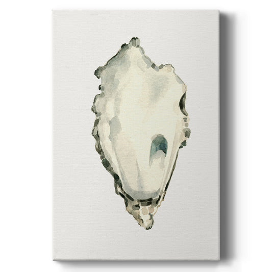 Neutral Oyster Study IV  - Canvas Art Print