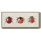 Ladybug Display I - Floater Framed Canvas Print