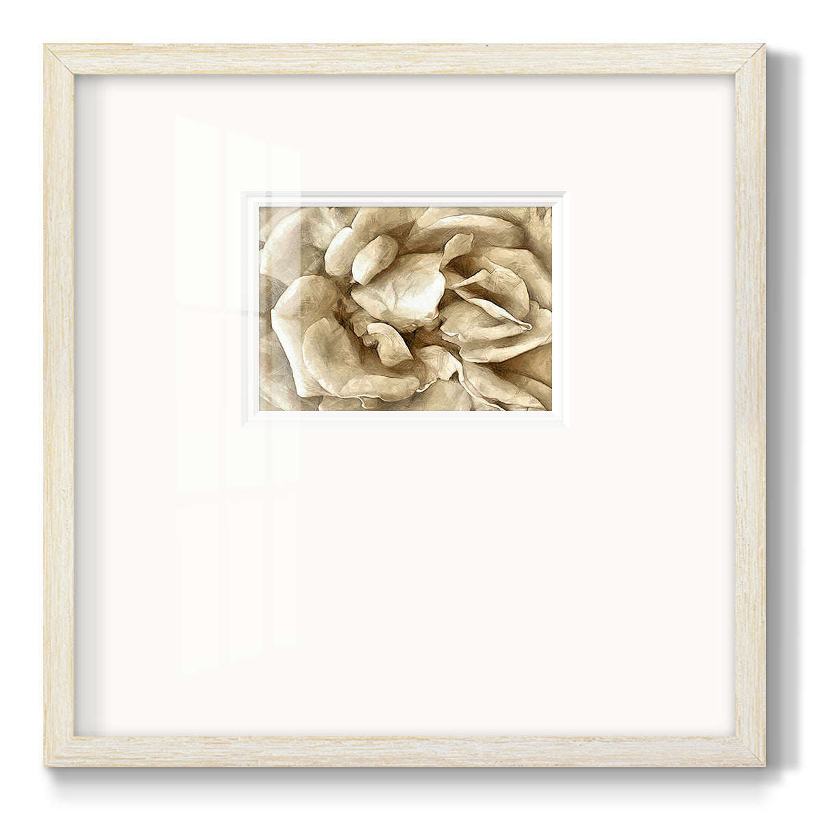 Neutral Wall Flower II - Double Matboard Framed Print