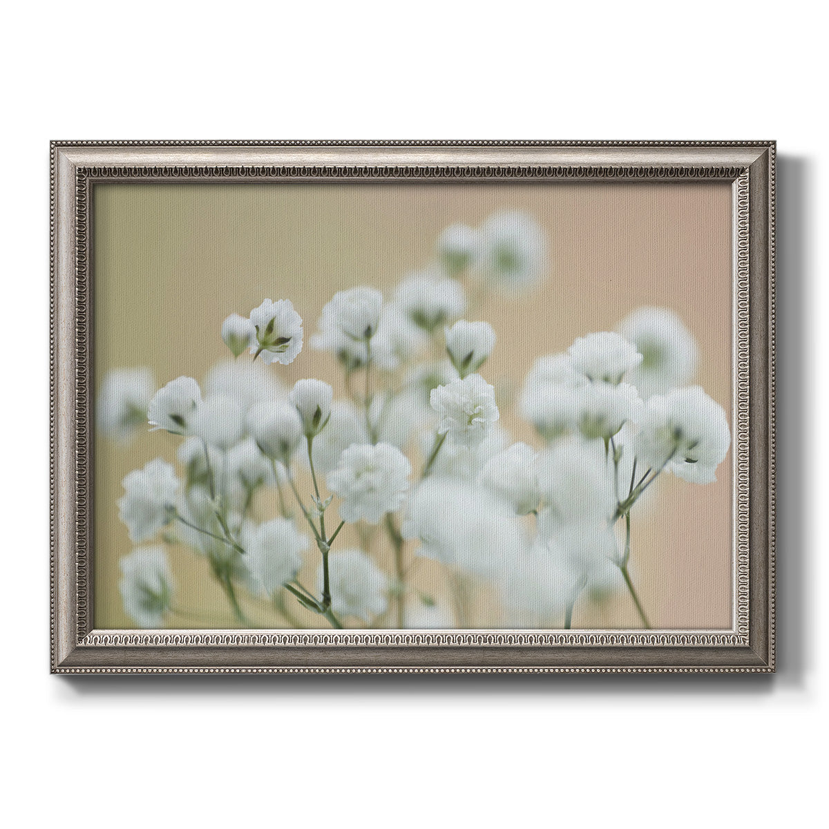 Delicate baby’s breath floral photograph printed on canvas in an ornate vintage silver frame.