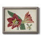 Antique amaryllis botanical flower illustration printed on canvas in an ornate vintage silver frame.
