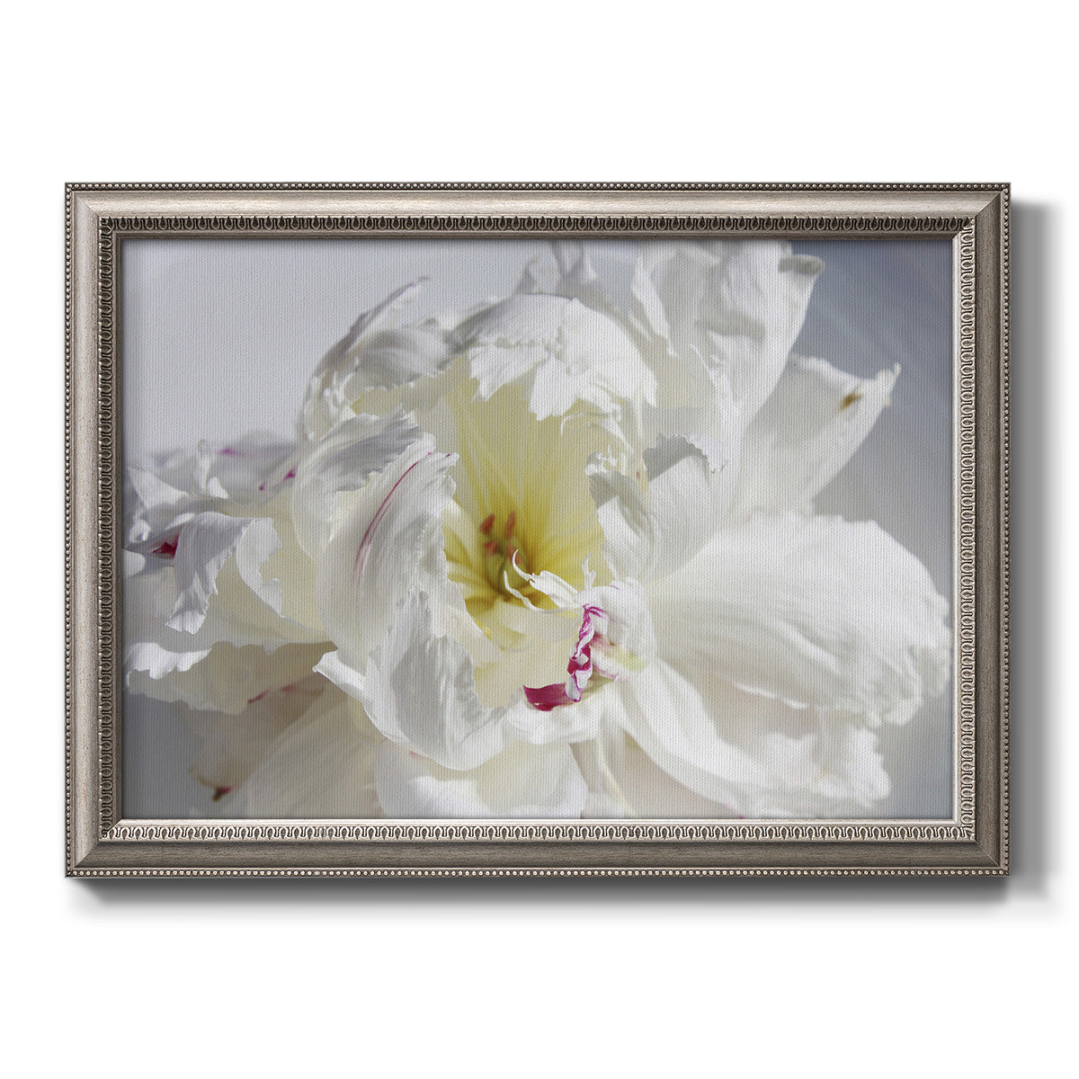 Soft white peony close-up printed on canvas in an ornate vintage silver frame.