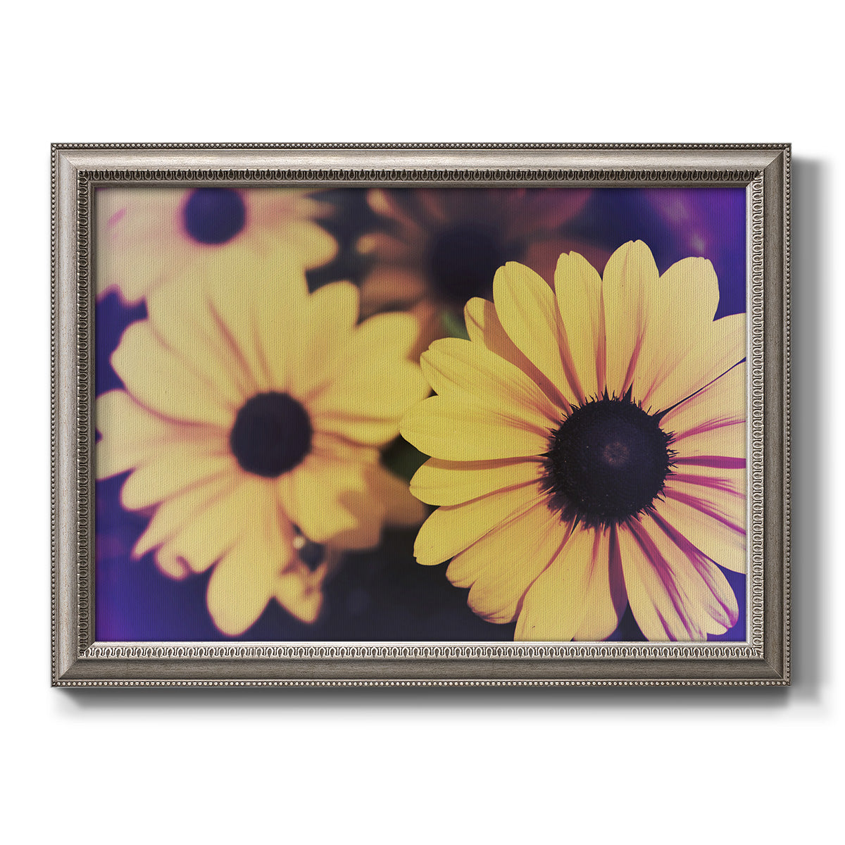 Contemporary yellow Susan floral photograph printed on canvas in an ornate vintage silver frame.