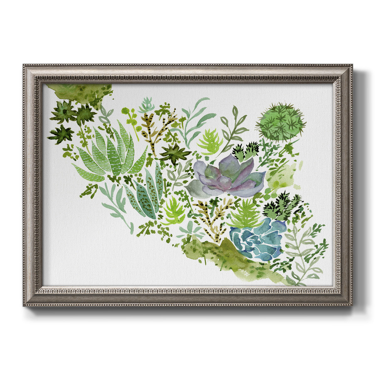 Contemporary abstract succulent botanical watercolor printed on canvas in an ornate vintage silver frame.