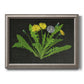 Classic botanical dandelion illustration printed on canvas in an ornate vintage silver frame.