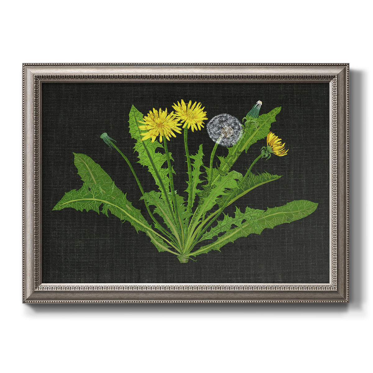 Classic botanical dandelion illustration printed on canvas in an ornate vintage silver frame.