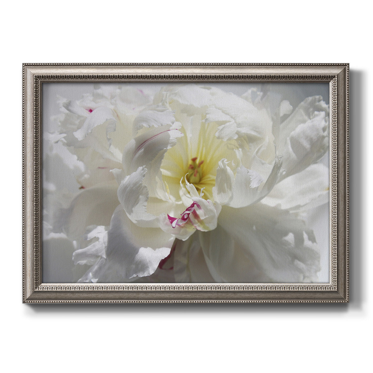 Neutral white peony photography printed on canvas in an ornate vintage silver frame.