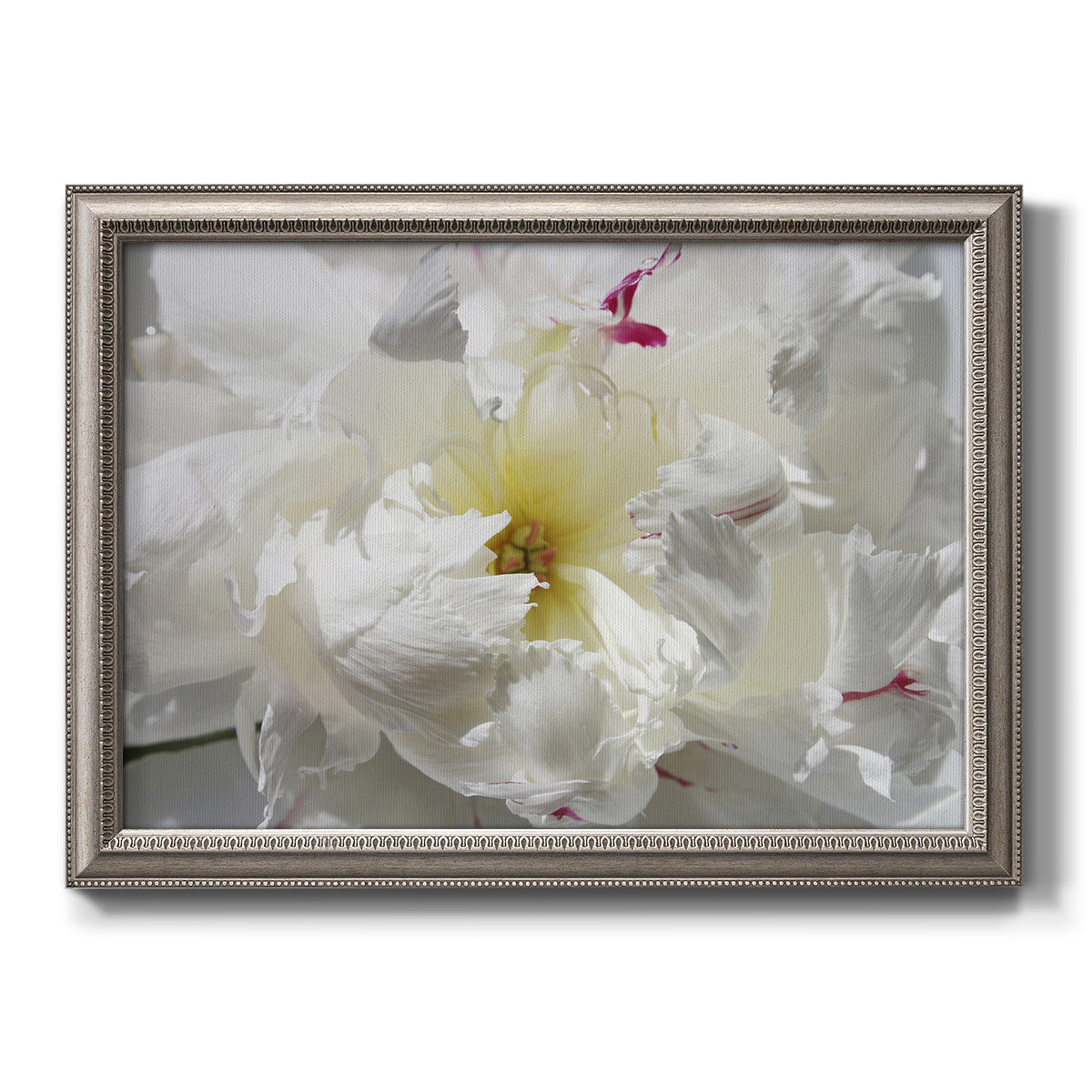Close up view of peony petals printed on canvas in an ornate vintage silver frame.
