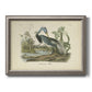 Antique Louisiana heron bird illustration by John James Audubon printed on canvas in an ornate vintage silver frame.