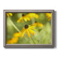 Contemporary black-eyed Susan flower photography printed on canvas in an ornate vintage silver frame.