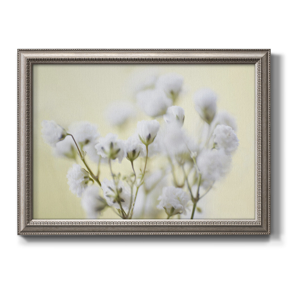 Soft-focus baby’s breath flower photograph printed on canvas in an ornate vintage silver frame.
