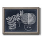 Vintage botanical foliage illustration on navy background printed on canvas in an ornate vintage silver frame.