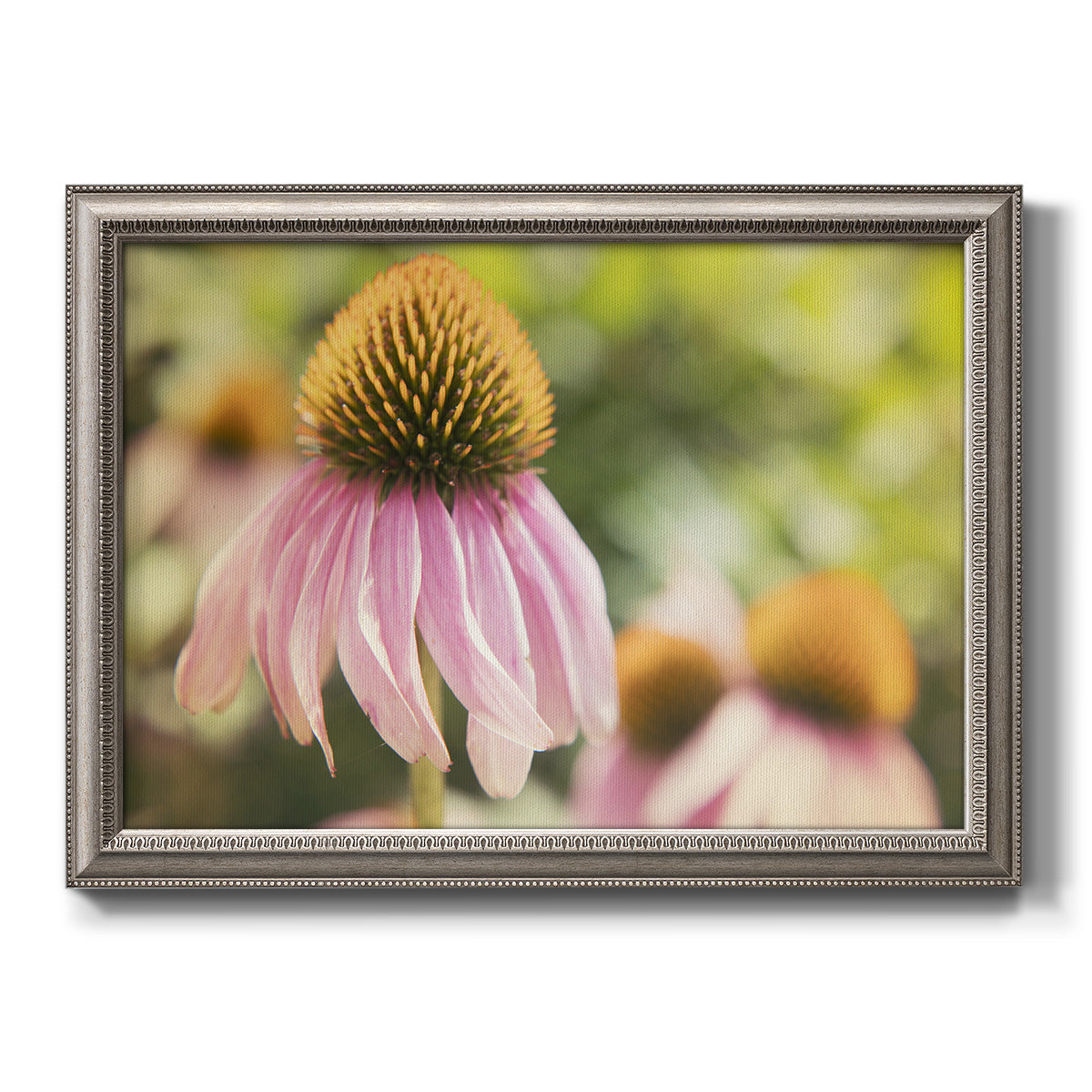 Close-up echinacea bloom photography printed on canvas in an ornate vintage silver frame.