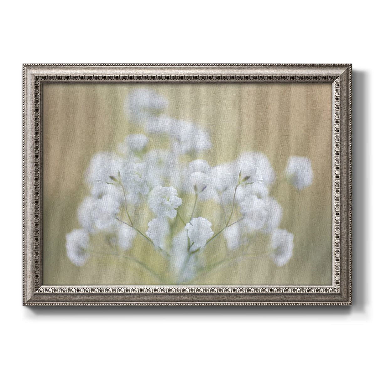 Botanical baby’s breath flower photography printed on canvas in an ornate vintage silver frame.