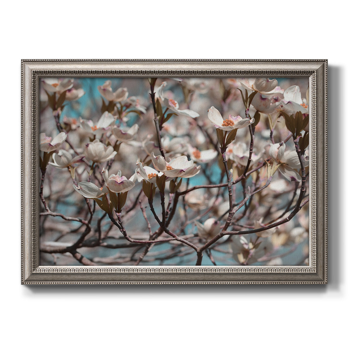Contemporary dogwood blossom floral photography printed on canvas in an ornate vintage silver frame.