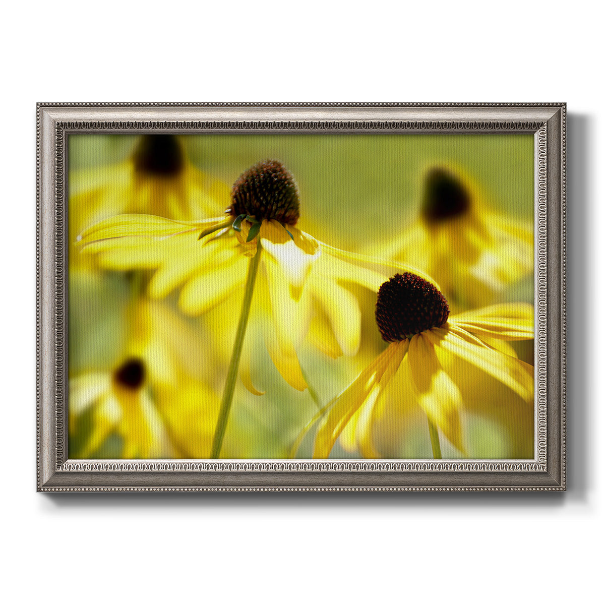 Modern floral Susan flower photography printed on canvas in an ornate vintage silver frame.