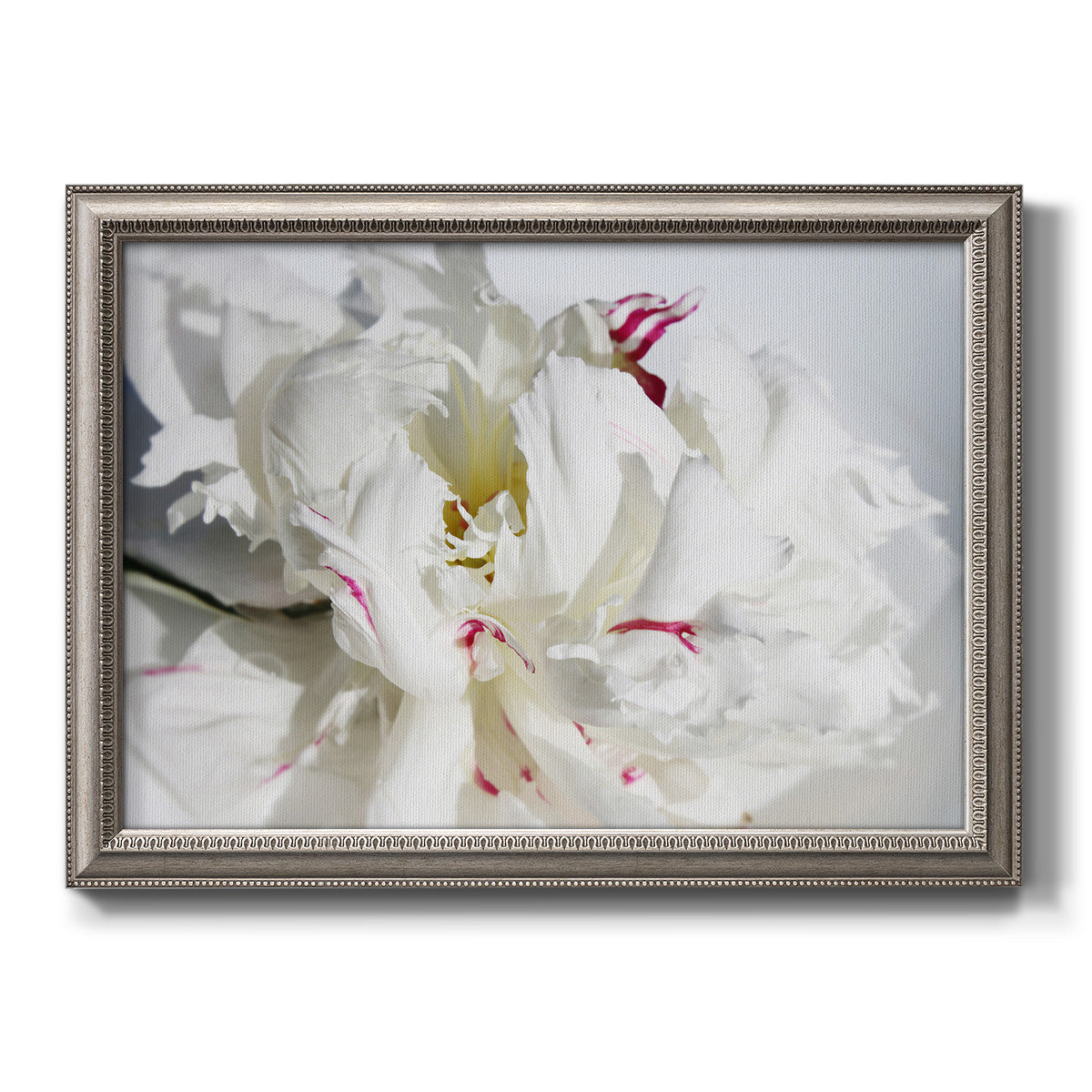 White peony close-up photography printed on canvas in an ornate vintage silver frame.