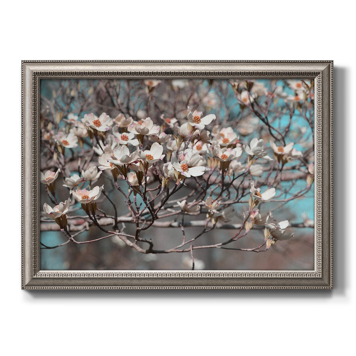 Modern spring dogwood flower photograph printed on canvas in an ornate vintage silver frame.