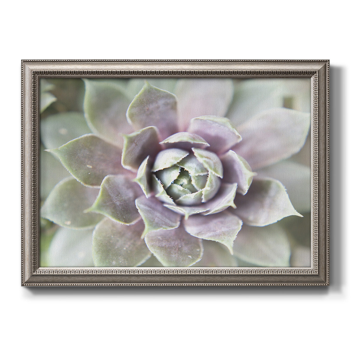Soft abstract floral botanical photography printed on canvas in an ornate vintage silver frame.