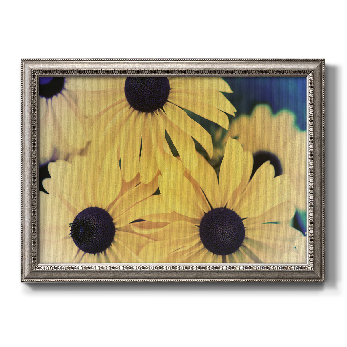 Modern sunflower-style Susan floral photograph printed on canvas in an ornate vintage silver frame.