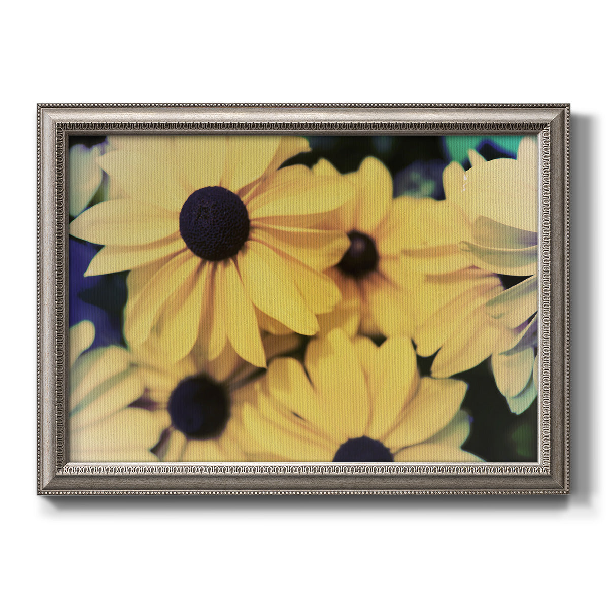 Contemporary black-eyed Susan floral photography printed on canvas in an ornate vintage silver frame.