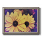Bright black-eyed Susan flower photography printed on canvas in an ornate vintage silver frame.
