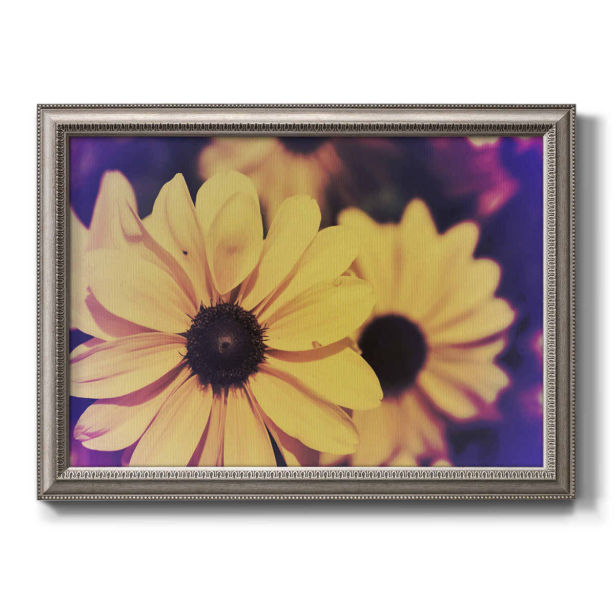 Bright black-eyed Susan flower photography printed on canvas in an ornate vintage silver frame.