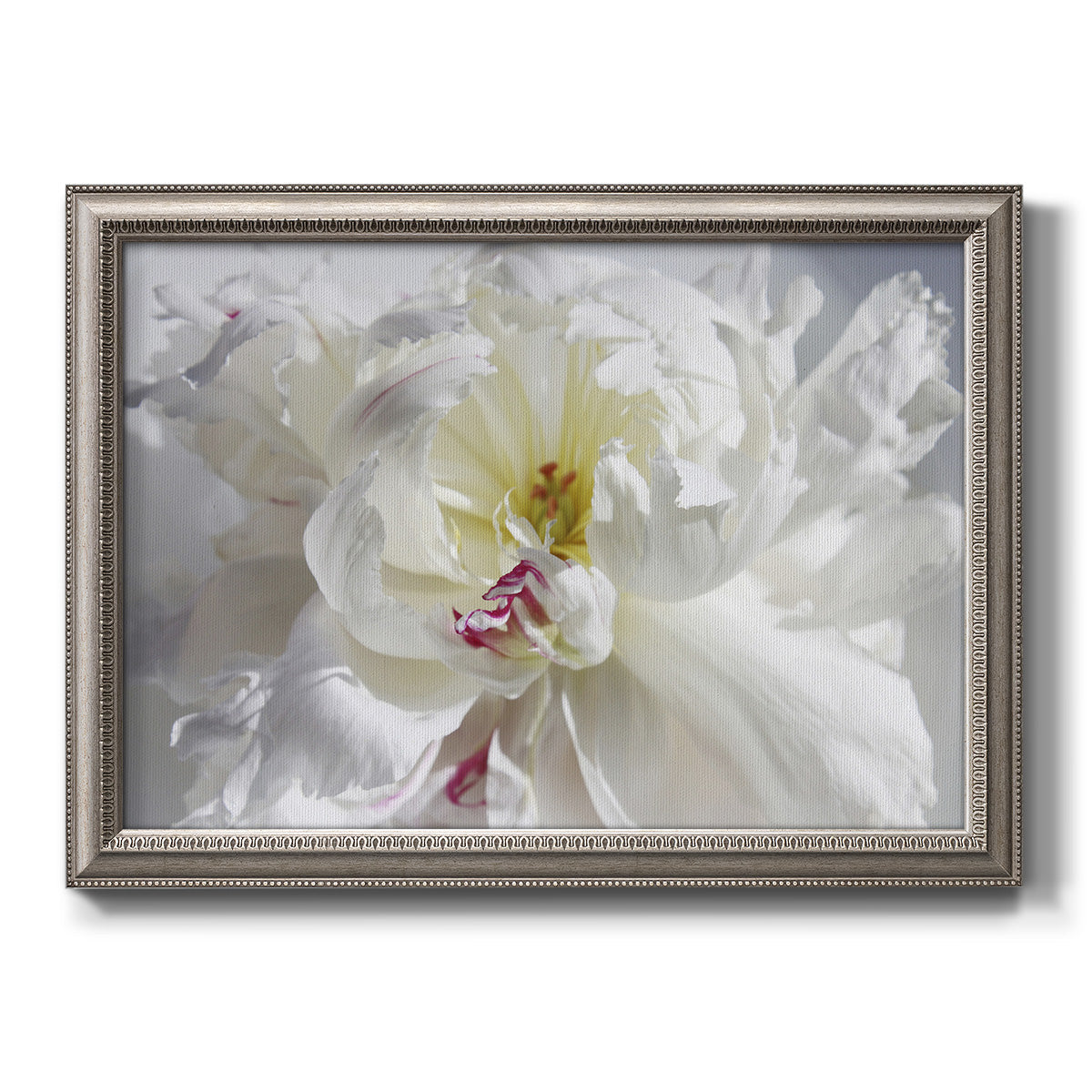 White floral photography close-up printed on canvas in an ornate vintage silver frame.
