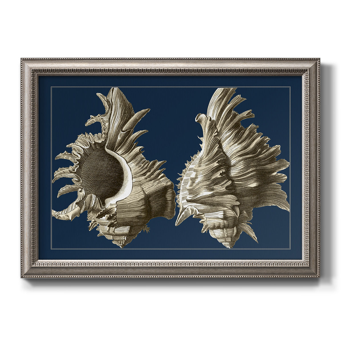 Vintage nautical conch shell artwork on navy background printed on canvas in an ornate vintage silver frame.
