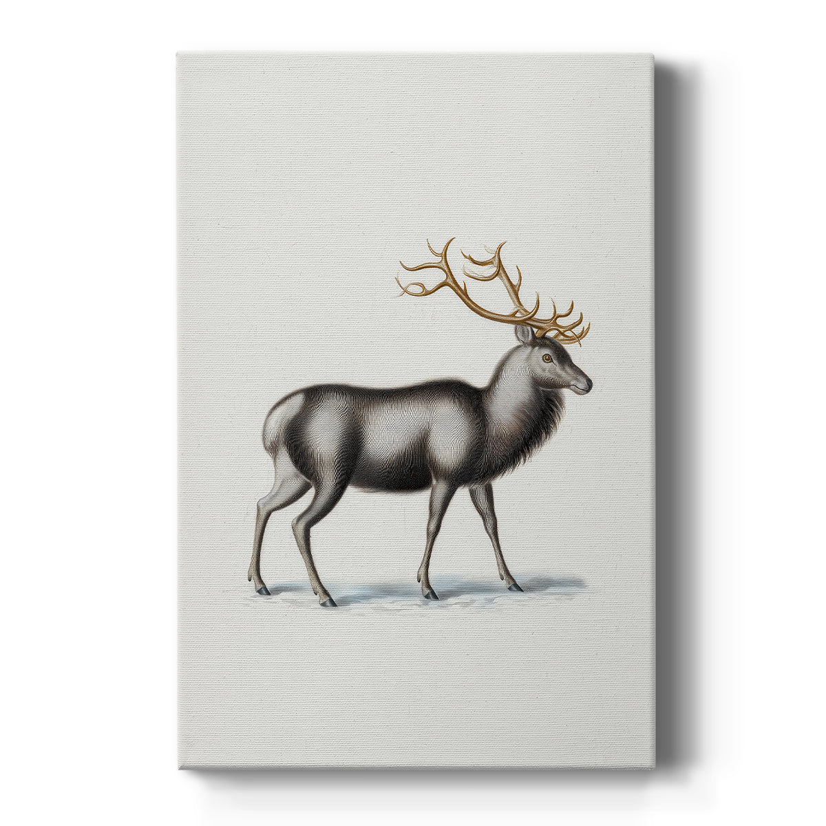 Pearled Night at Midnight - Canvas Art Print