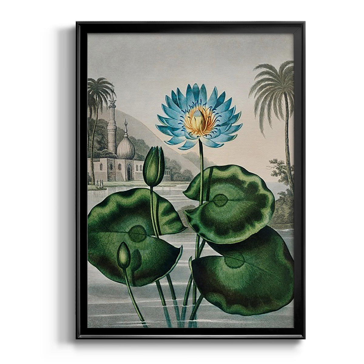 Temple of Flora IX - Modern Framed Canvas Print