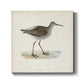 Morris Sandpipers V - Canvas Art Print