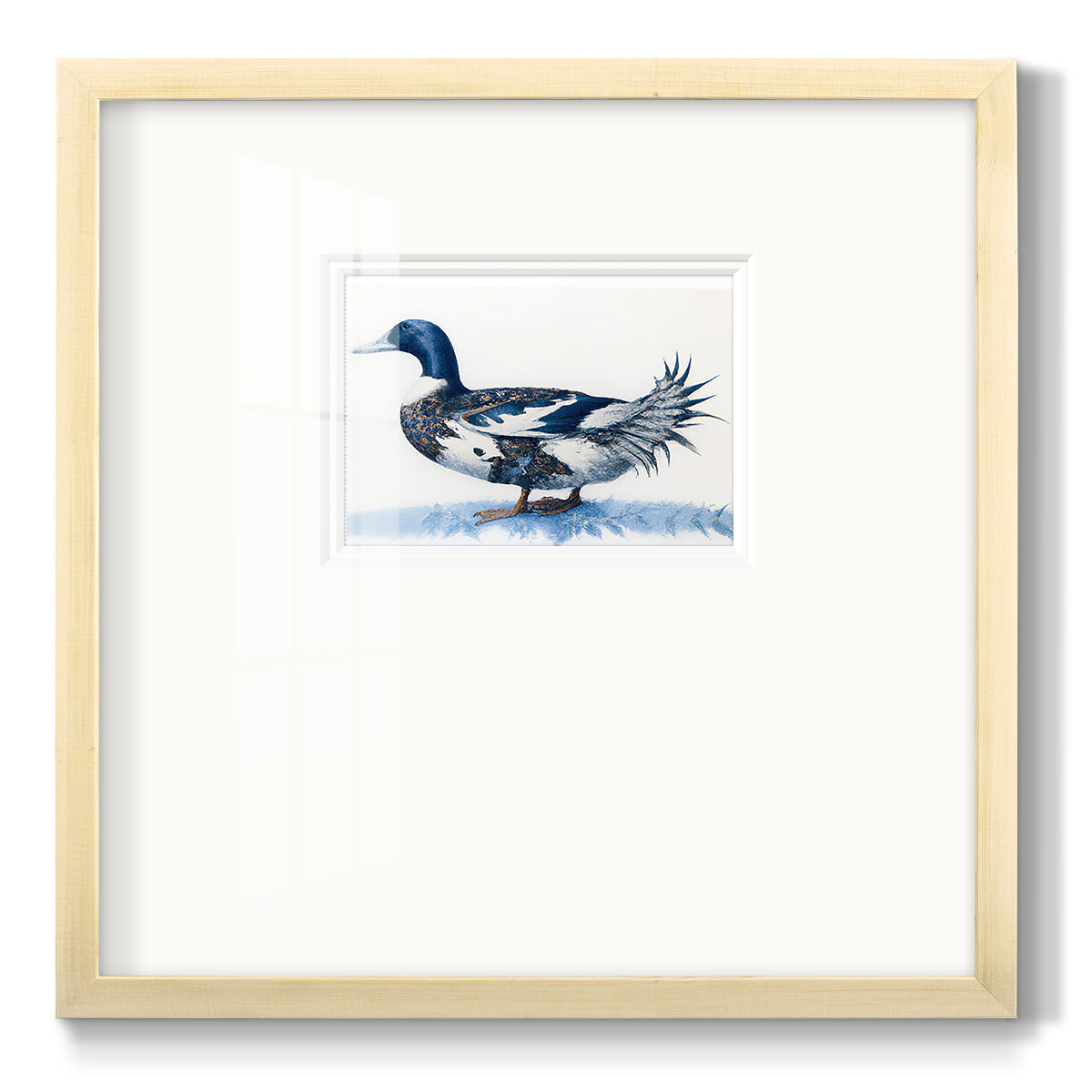 Mallard Blue II - Double Matboard Framed Print