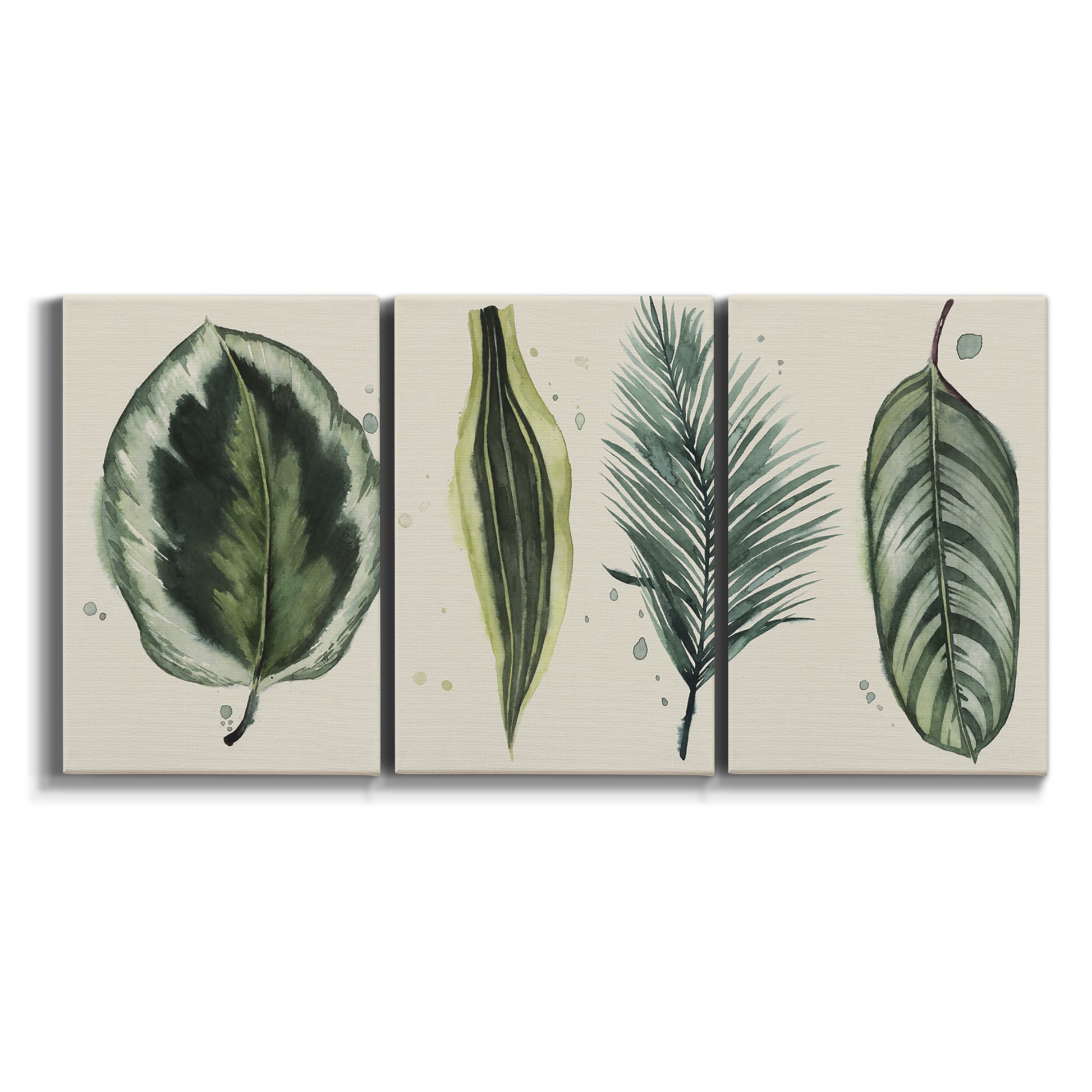 Three-panel canvas wall art featuring botanical palm leaf illustration on white background.