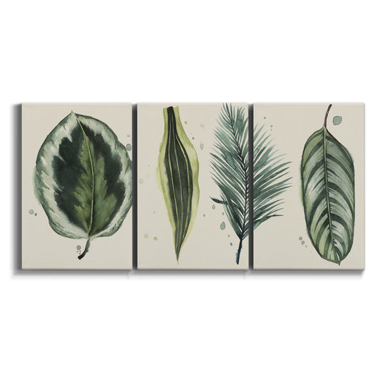 Three-panel canvas wall art featuring botanical palm leaf illustration on white background.