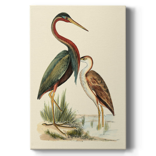 Water Birds III Premium Gallery Wrapped Canvas - Ready to Hang