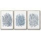 Summer Herb Garden Sketches I - Framed Premium Gallery Wrapped Canvas L Frame 3 Piece Set - Ready to Hang