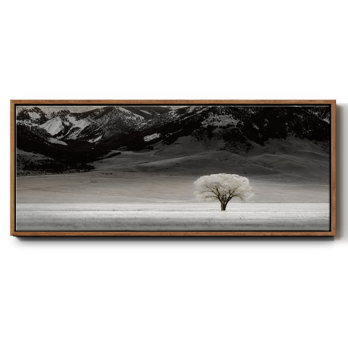 Solitary Tree - Floater Framed Canvas Print