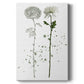 Botany Flower IV Premium Gallery Wrapped Canvas - Ready to Hang