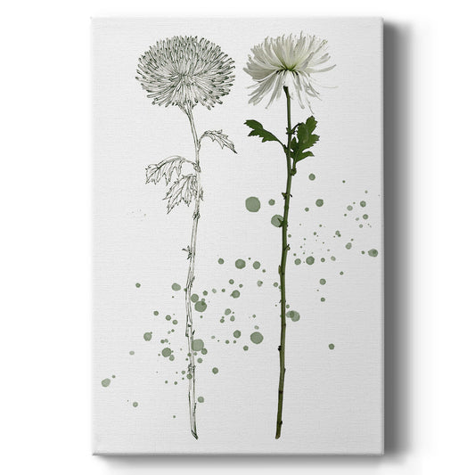 Botany Flower IV - Canvas Art Print