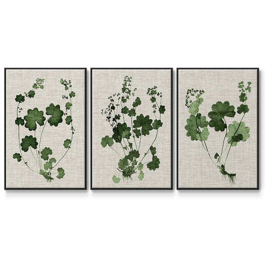 Forest Foliage on Linen I - Floater Framed Canvas Set